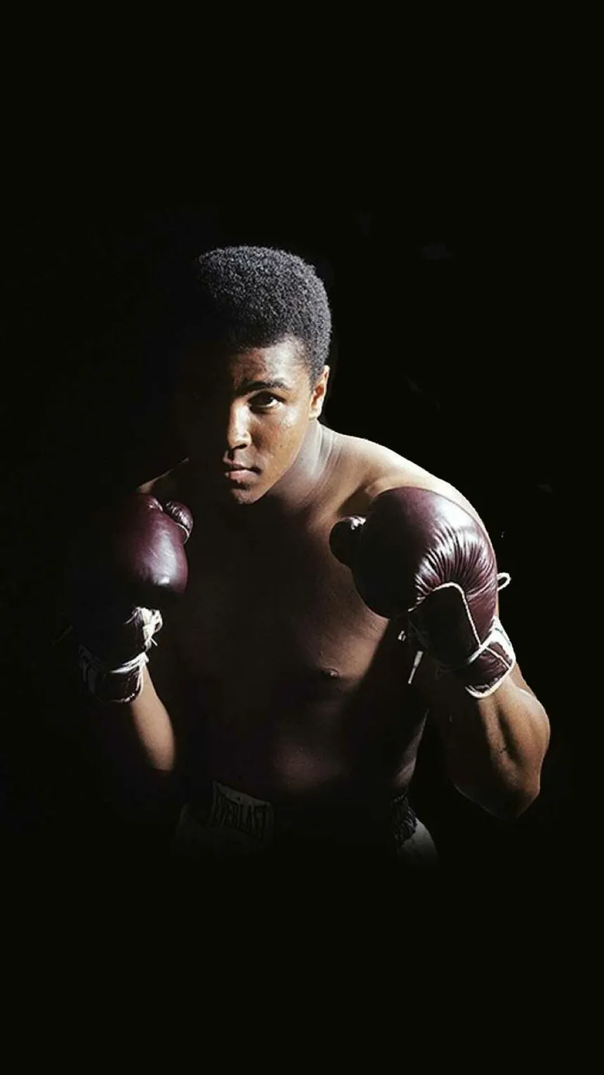 Boxing & Martial Arts